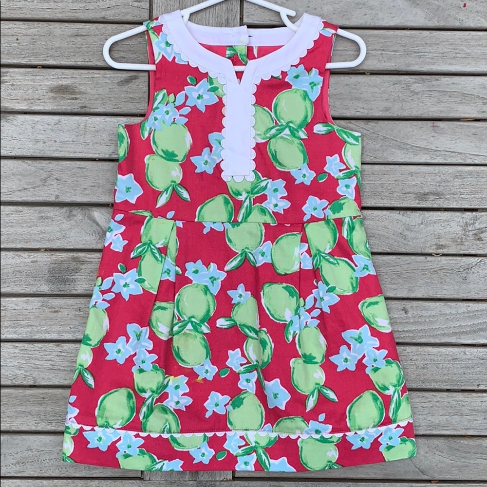 Janie and Jack floral dress EUC size 2
